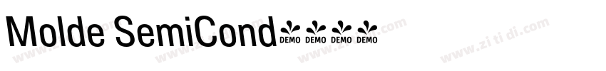 Molde SemiCond字体转换